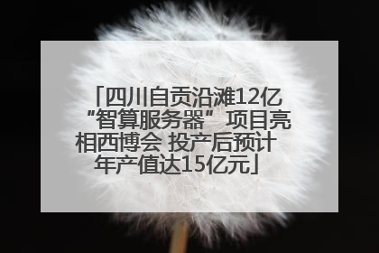 四川自贡沿滩12亿“智算服务器”项目亮相西博会 投产后预计年产值达15亿元