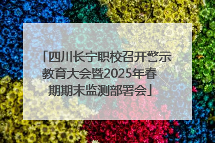四川长宁职校召开警示教育大会暨2025年春期期末监测部署会
