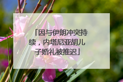 因与伊朗冲突持续，内塔尼亚胡儿子婚礼被推迟