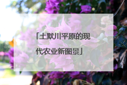 土默川平原的现代农业新图景