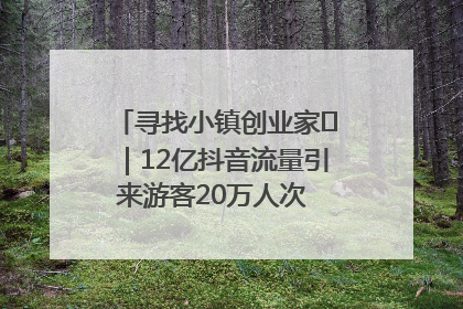 寻找小镇创业家㊱｜12亿抖音流量引来游客20万人次 “襄阳许三多”爆改家乡打造网红村
