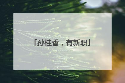 孙桂香，有新职