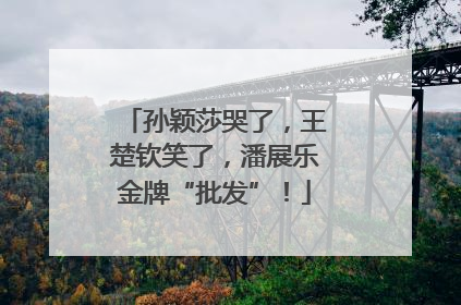 孙颖莎哭了，王楚钦笑了，潘展乐金牌“批发”！