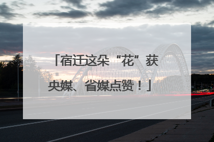 宿迁这朵“花”获央媒、省媒点赞！