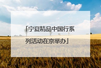 宁夏精品中国行系列活动在京举办