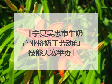 宁夏吴忠市牛奶产业挤奶工劳动和技能大赛举办