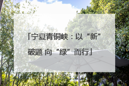 宁夏青铜峡：以“新”破题 向“绿”而行