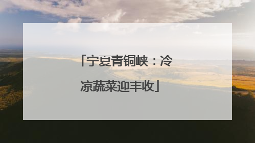 宁夏青铜峡：冷凉蔬菜迎丰收
