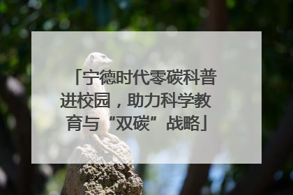 宁德时代零碳科普进校园，助力科学教育与“双碳”战略