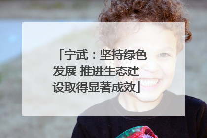 宁武：坚持绿色发展 推进生态建设取得显著成效