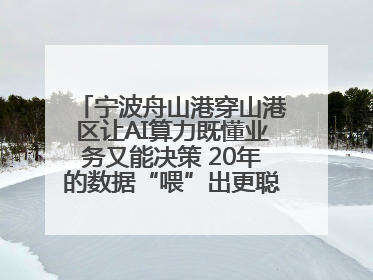 宁波舟山港穿山港区让AI算力既懂业务又能决策 20年的数据“喂”出更聪明的港口