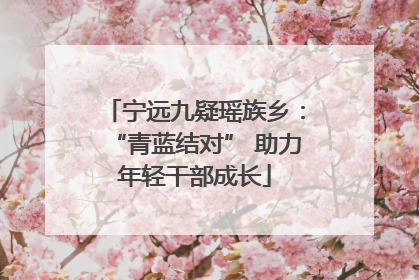 宁远九疑瑶族乡：“青蓝结对” 助力年轻干部成长