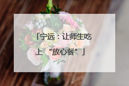 宁远：让师生吃上 “放心餐”