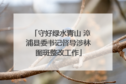 守好绿水青山 漳浦县委书记督导涉林图斑整改工作