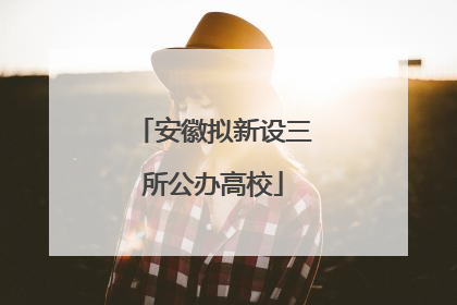 安徽拟新设三所公办高校