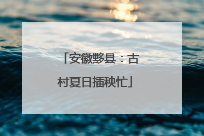 安徽黟县：古村夏日插秧忙