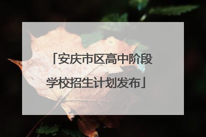 安庆市区高中阶段学校招生计划发布