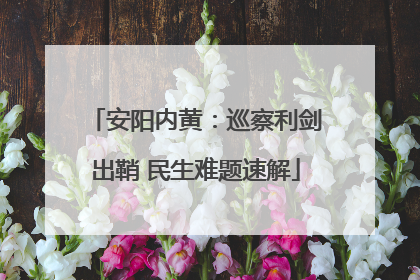 安阳内黄：巡察利剑出鞘 民生难题速解