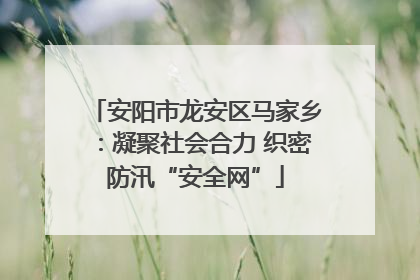 安阳市龙安区马家乡：凝聚社会合力 织密防汛“安全网”