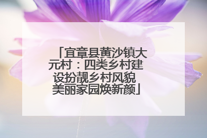 宜章县黄沙镇大元村：四类乡村建设扮靓乡村风貌 美丽家园焕新颜