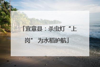 宜章县：杀虫灯“上岗” 为水稻护航