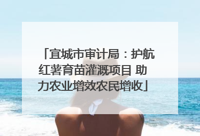 宜城市审计局：护航红薯育苗灌溉项目 助力农业增效农民增收