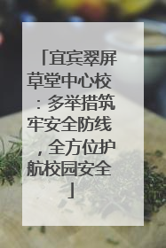 宜宾翠屏草堂中心校：多举措筑牢安全防线，全方位护航校园安全