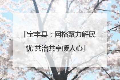 宝丰县：网格聚力解民忧 共治共享暖人心
