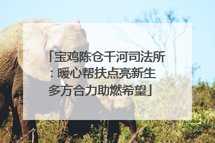 宝鸡陈仓千河司法所：暖心帮扶点亮新生 多方合力助燃希望