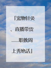 宠物针灸、直播带货……职教周上秀绝活