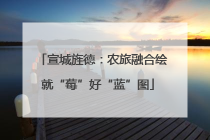 宣城旌德：农旅融合绘就“莓”好“蓝”图