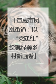 宣威市凤凰街道：以“党建红”绘就绿美乡村新画卷