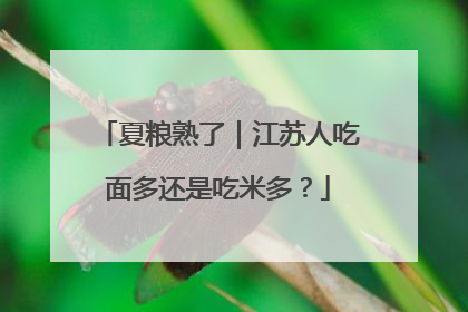 夏粮熟了｜江苏人吃面多还是吃米多？