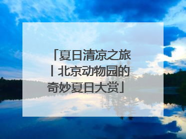 夏日清凉之旅丨北京动物园的奇妙夏日大赏