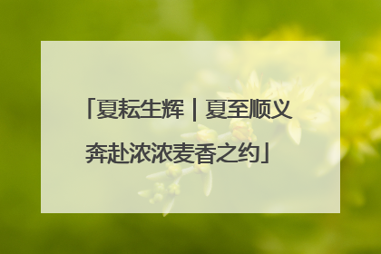 夏耘生辉｜夏至顺义奔赴浓浓麦香之约
