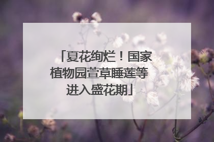 夏花绚烂！国家植物园萱草睡莲等进入盛花期