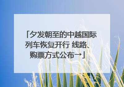 夕发朝至的中越国际列车恢复开行 线路、购票方式公布→