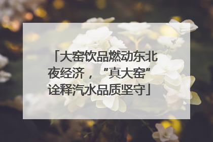 大窑饮品燃动东北夜经济，“真大窑”诠释汽水品质坚守