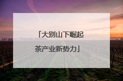 大别山下崛起茶产业新势力