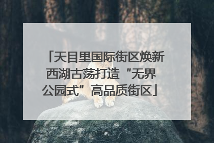 天目里国际街区焕新 西湖古荡打造“无界公园式”高品质街区