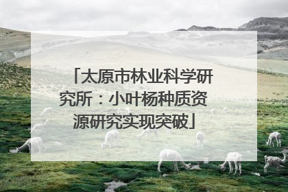 太原市林业科学研究所：小叶杨种质资源研究实现突破
