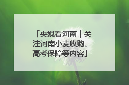 央媒看河南｜关注河南小麦收购、高考保障等内容