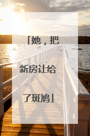 她，把新房让给了斑鸠