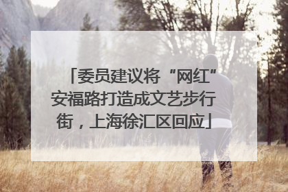 委员建议将“网红”安福路打造成文艺步行街，上海徐汇区回应