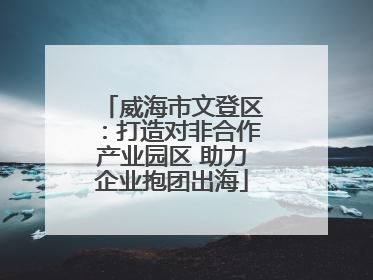 威海市文登区：打造对非合作产业园区 助力企业抱团出海