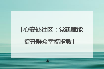 心安处社区：党建赋能 提升群众幸福指数