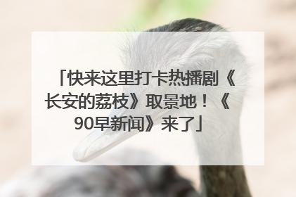 快来这里打卡热播剧《长安的荔枝》取景地！《90早新闻》来了