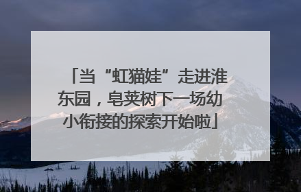 当“虹猫娃”走进淮东园，皂荚树下一场幼小衔接的探索开始啦