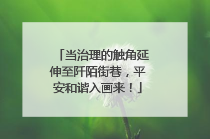当治理的触角延伸至阡陌街巷，平安和谐入画来！