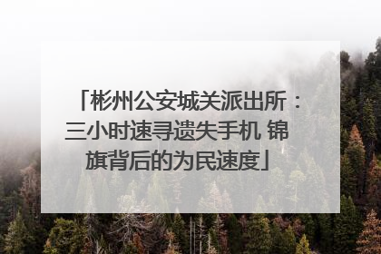 彬州公安城关派出所：三小时速寻遗失手机 锦旗背后的为民速度